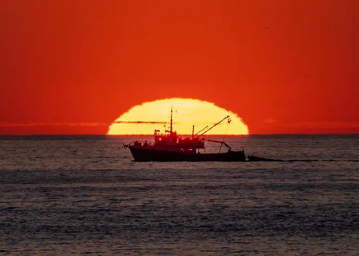 Villa House Adeo With Private Pool, Pula