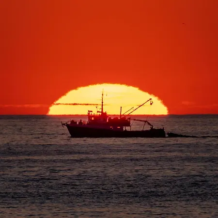 Villa House Adeo With Private Pool, Pula