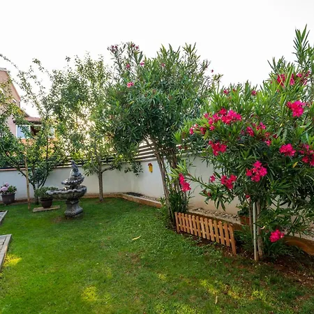 Villa House Adeo With Private Pool, *